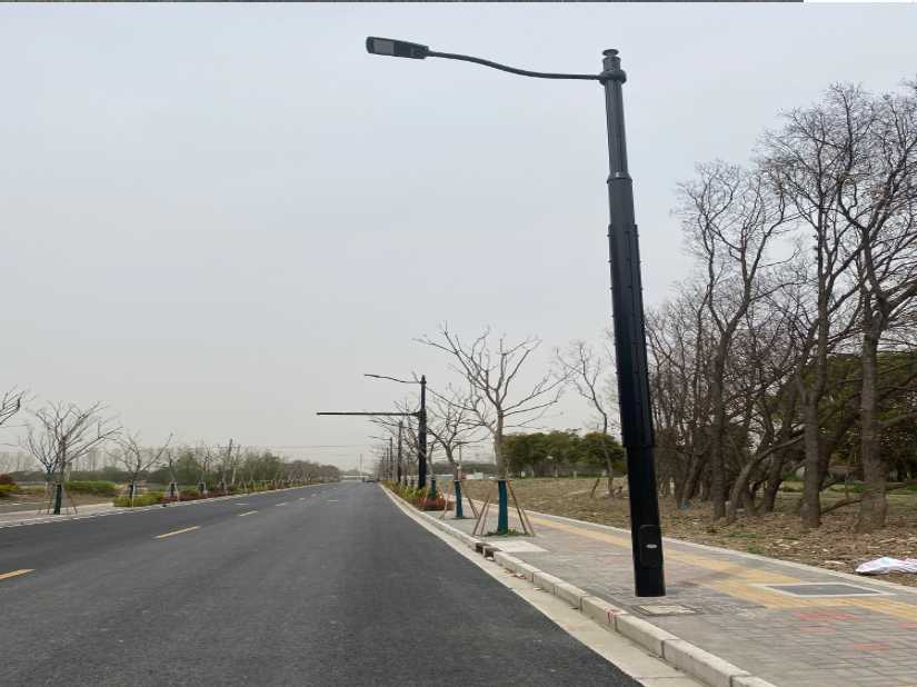 镜湖区上海综合杆 太阳能路灯工程